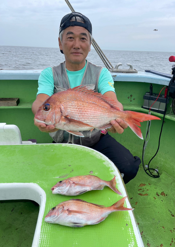 マダイの釣果