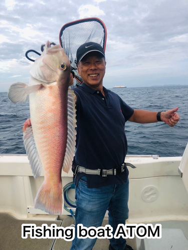 シロアマダイの釣果