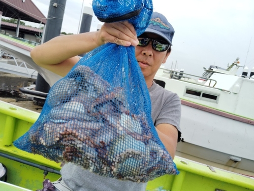 マダコの釣果