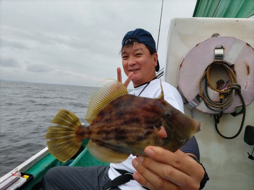 カワハギの釣果