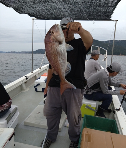 アコウの釣果