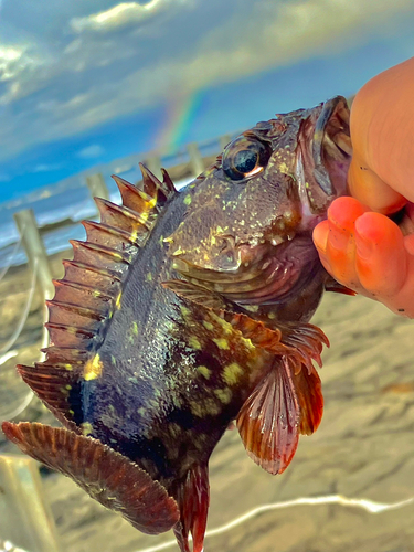 江ノ島裏磯