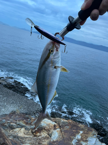 ネイリの釣果