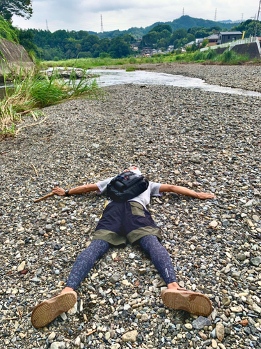 カワムツの釣果