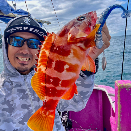 アカハタの釣果