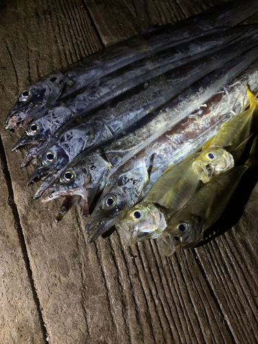 海辺つり公園