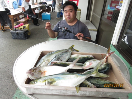 イナダの釣果