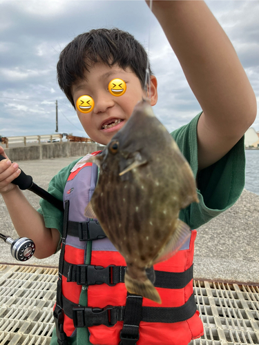 カワハギの釣果