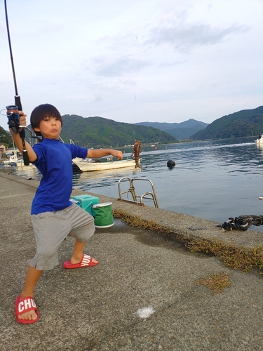 高知県西部