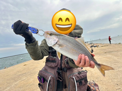 ショゴの釣果