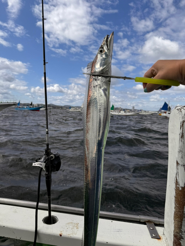 タチウオの釣果