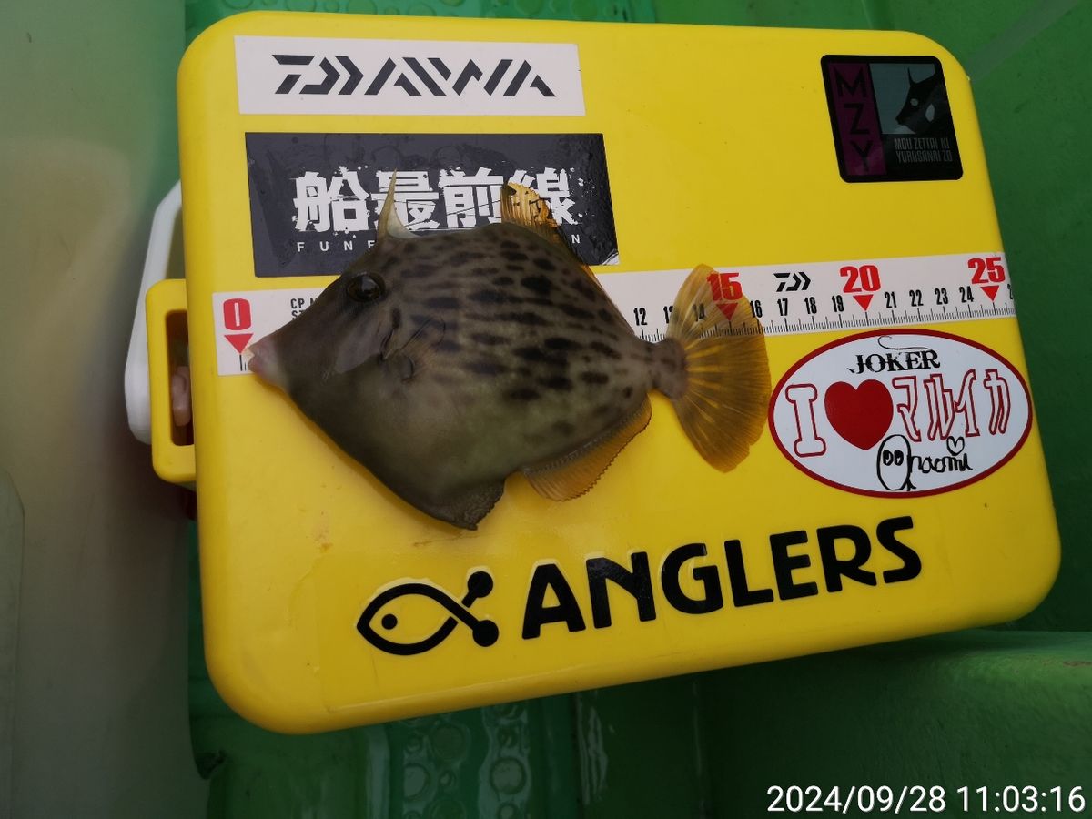 にゃんすけさんの釣果 3枚目の画像