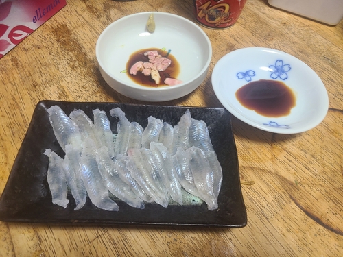 ハゼの釣果