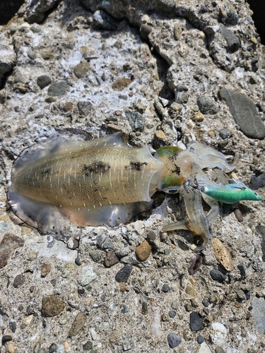 男鹿半島