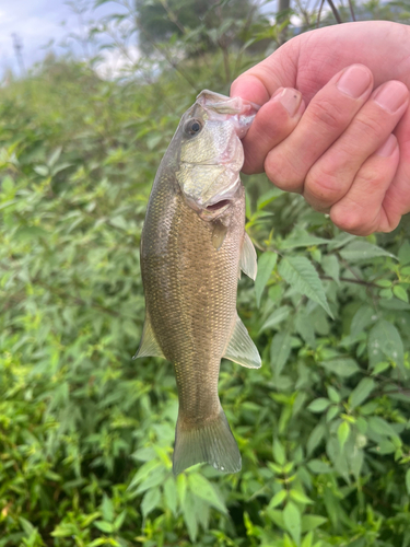 木曽川下流