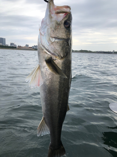 幕張海浜公園