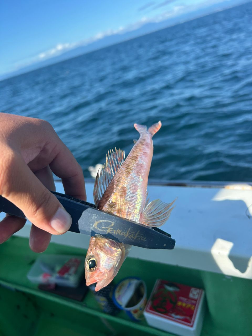 きンちゃンさんの釣果 2枚目の画像