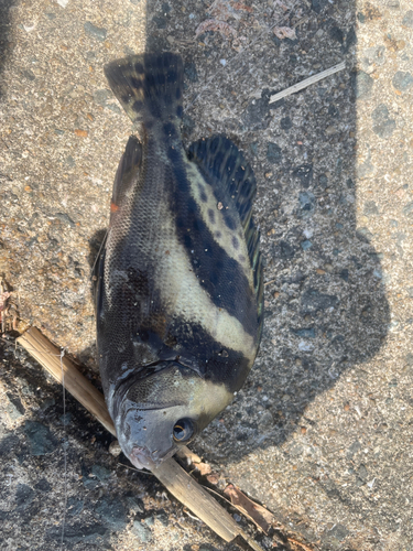 マリナタウン海浜公園