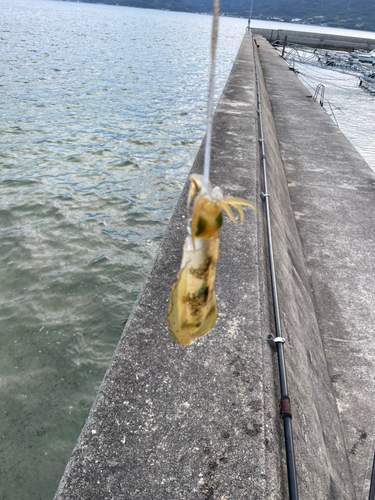 しまなみ海道