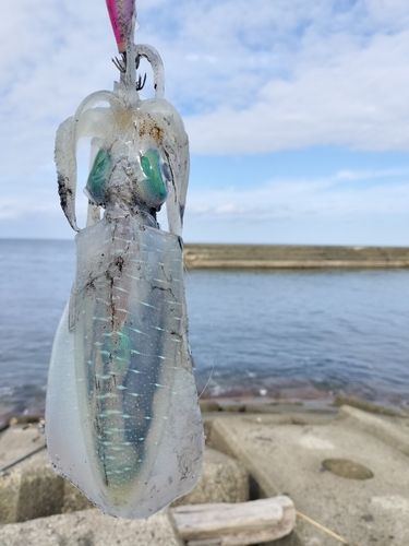 椎谷海浜公園