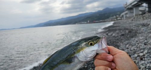 御幸の浜