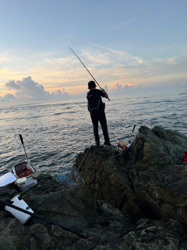 オナガグレの釣果