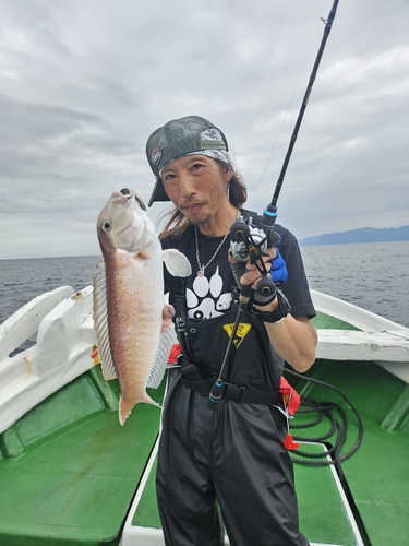 シロアマダイの釣果