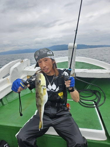 シロサバフグの釣果