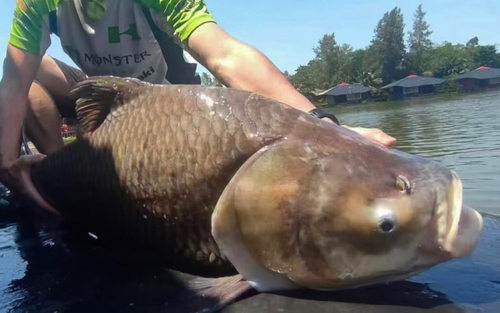 パーカーホの釣果