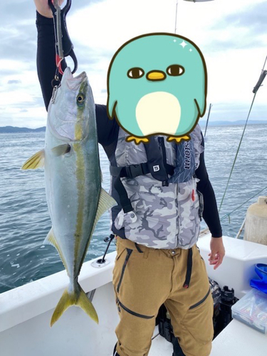 メジロの釣果