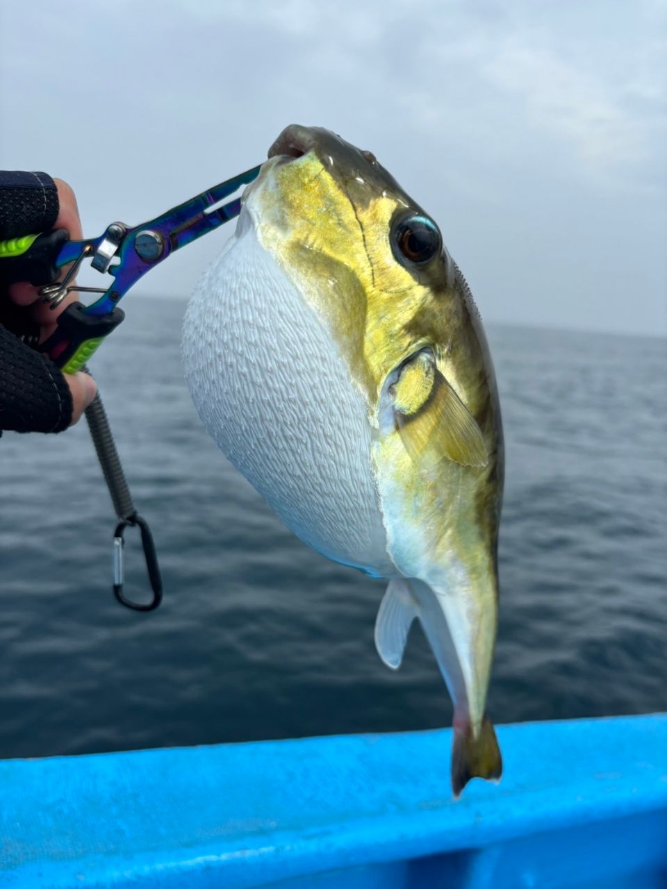 爆釣光輝さんの釣果 2枚目の画像