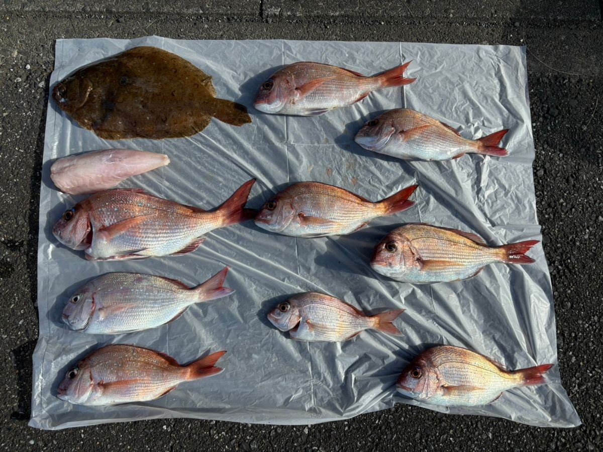 爆釣光輝さんの釣果 3枚目の画像