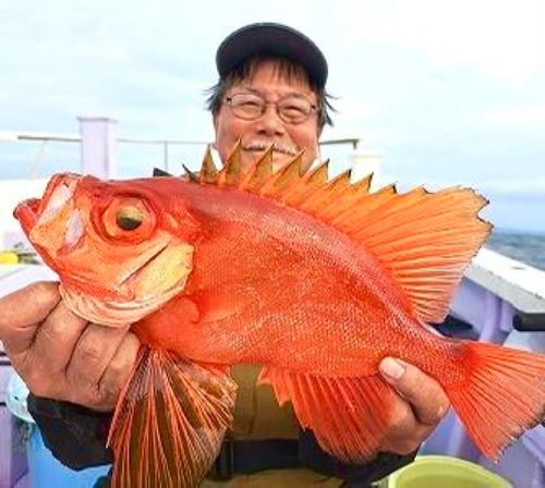 キントキダイの釣果