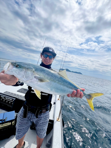 ハマチの釣果