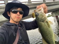 ブラックバスの釣果