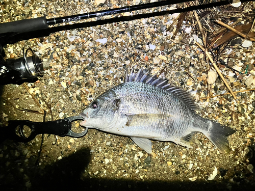 浜名湖