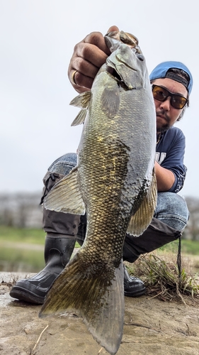 スモールマウスバスの釣果