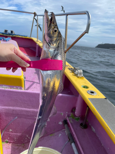 タチウオの釣果