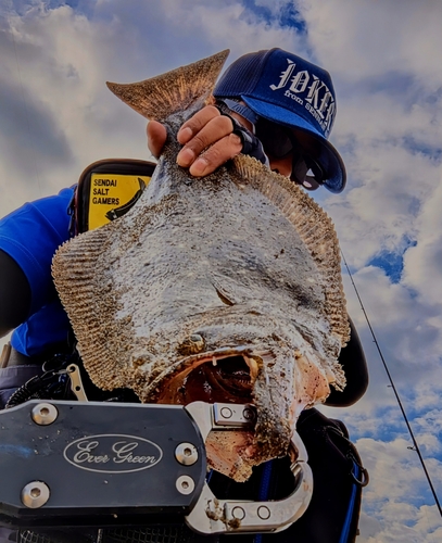 ヒラメの釣果