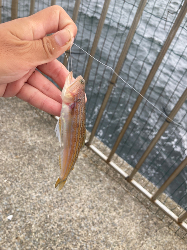 うみかぜ公園