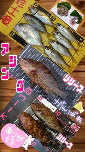 オオモンハタの釣果