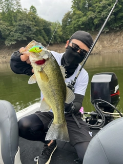 ブラックバスの釣果