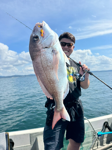 タイの釣果