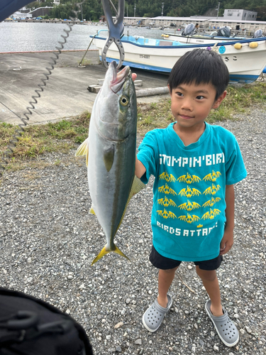 イナダの釣果