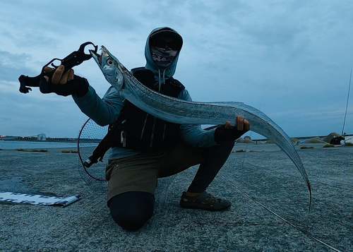 タチウオの釣果