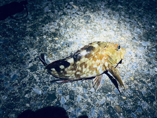 東扇島西公園