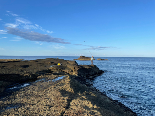 かもめ島