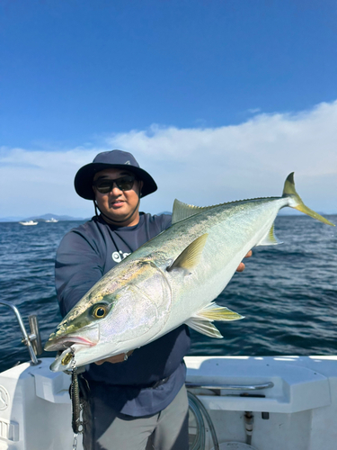 ハマチの釣果