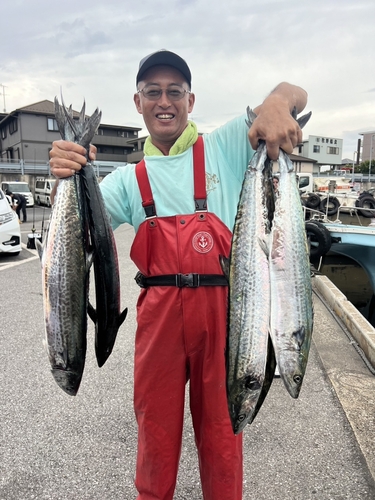 サワラの釣果