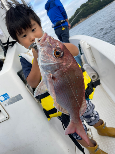 マダイの釣果